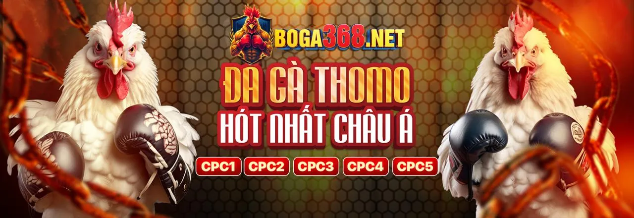 Các tính năng nổi bật của 1gom.com